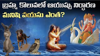 బ్రహ్మదేవుడు మనిషికి 40 ఏళ్లు మాత్రమే ఆయుష్షు ఇచ్చాడు మరి మిగిలిన జీవితకాలం ఎలా జీవిస్తున్నాడు [upl. by Krystal861]