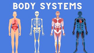 11 Body Systems in 3 minutes [upl. by Granniah825]