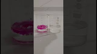 phenolphthalein indicator with acid and base trending viral education science chemistry shorts [upl. by Dde]