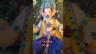 लालबागचा राजा shorts daily trending ganpatistatus lalbagcharajha lalbaghcharaja festival [upl. by Jt627]