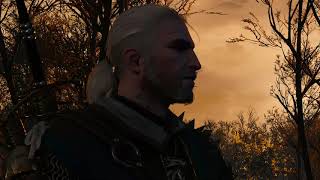 Witcher 3 Todos los Finales y slides  All endings and slides [upl. by Ocirred746]