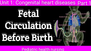 fetal circulation before birth  congenital heart disease pediatrics [upl. by Nioe661]