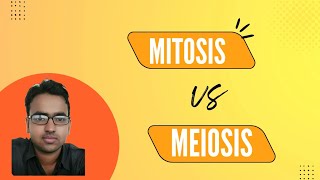 MITOSIS VS MEIOSIS  Difference between mitosis and meiosis  Cell division [upl. by Arayc]