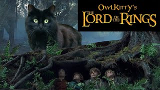 Lord of the Rings  starring my cat OwlKitty [upl. by Mari]