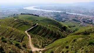 Discover The Wines of the Rhone Valley Part 1 of 3 [upl. by Nibbor]