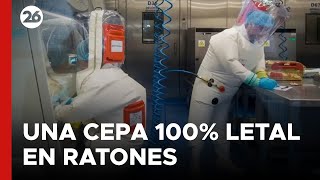 CHINA  La alarmante cepa mutante de coronavirus creada por científicos chinos [upl. by Hunt]