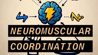 Neuromuscular Coordination Neuromuscular coordination in Exercise Therapy [upl. by Japha]