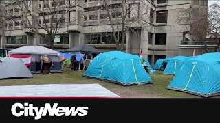 Montreal protesters hunker down at McGill encampment supporting Gaza [upl. by Ayor115]