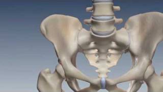 SI Joint Anatomy Biomechanics amp Prevalence [upl. by Attinahs]