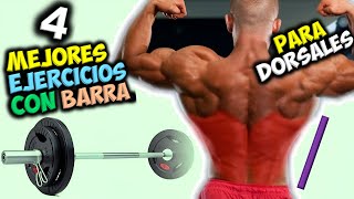 Los 4 MEJORES EJERCICIOS Con BARRA 👉 Para Ganar UNOS DORSALES Grandes Y Musculosos  ESPALDA [upl. by Frazer]