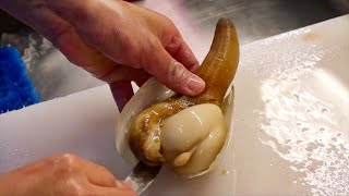 GEODUCK SASHIMI Seafood  Japanese Street Food  Okinawa Japan [upl. by Atinuahs543]