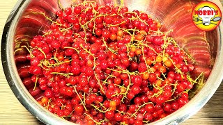 Johannisbeeren Gelee super einfach und lecker [upl. by Gniw]