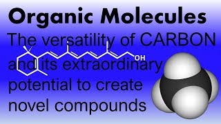 Organic Molecules The versatility of carbonThe tremendous variety of organic compounds on earth [upl. by Oswin]