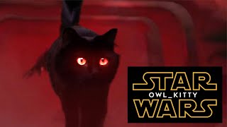 Star Wars  Starring my cat OwlKitty [upl. by Wincer]