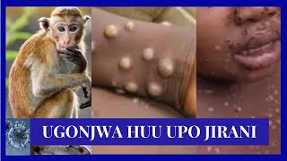 HAKIKISHENI MIPAKA YETU INAKUWA SALAMA KUDHIBITI HOMA YA NYANI MPOX  WAZIRI MHE MOHAMED MCHENGERWA [upl. by Anaeg]