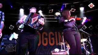 Flogging Molly  Salty Dog  Live in Sydney  Moshcam [upl. by Landbert]