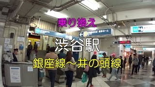 【乗り換え】渋谷駅 銀座線～京王井の頭線 [upl. by Miharba]