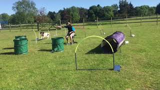 Hoopers Agility Fun [upl. by Eelahc]