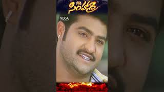 shorts  NTR reminding Nassar words to BhanuChandar Simhadri ntrmovies simhadri4k ntr30 [upl. by Ringsmuth]