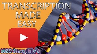 Transcription Made Easy From DNA to RNA 2019 [upl. by Ttiwed]