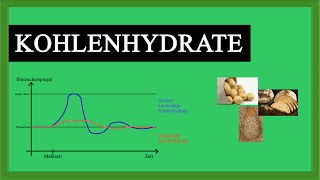 Sind Kohlenhydrate Dickmacher Zucker in der DNA Rund ums Kohlenhydrat  BASICS 1 [upl. by Farnsworth348]