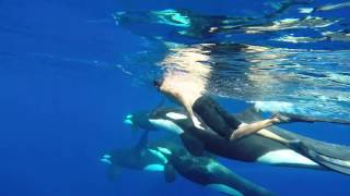 OOM  Orcinus Orca Mayotte GoPro [upl. by Carbo]