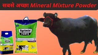 गाय और भैंस में mineral mixture powder Agrimin forte के फायदे के बारे में सम्पूर्ण जानकारी [upl. by Oman950]