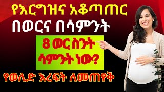 የእርግዝና አቆጣጠርሁሉም የእርግዝና ጊዜያት በወርና በሳምንትGestational age in weeks amp in months [upl. by Otina712]