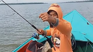 ASTAGA   umpan udang besar mancing [upl. by Holsworth]