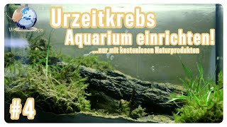 Urzeitkrebsaquarium einrichten Kostenlos mit Naturprodukten  Triops Spektrum [upl. by Adirahs]