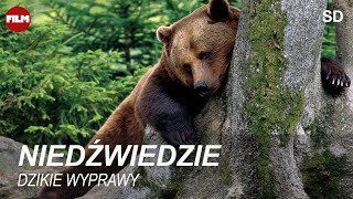 NIEDŹWIEDZIE  seria Dzikie wyprawy [upl. by Ivett]