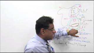 Dr Bhatia Medical Institute Satellite Classes Neurology Part  5 [upl. by Coady]