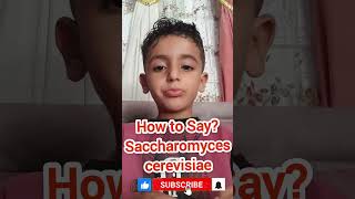 How to Say Saccharomyces cerevisiae مع ميدو رائد learnenglish education english [upl. by Bettine876]