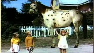 Pippi Langstrumpf und das pferd hostet im ts bei smokeymoe [upl. by Aecila345]