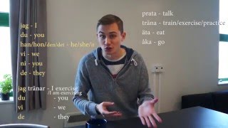 Learn Swedish Lesson 8 Personal Pronouns [upl. by Micah947]