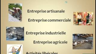 Economie  Les différents types dentreprises [upl. by Aisac]