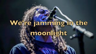 Tribal Seeds Moonlight Lyric Video [upl. by Rheingold972]