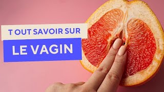 VAGIN  TOUT SAVOIR sur le VAGIN  Anatomie maladies examens [upl. by Ralyt]