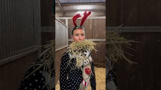 Pferdehofliebe  Schöne Feiertage 🎅🎄 pferdehofliebe froheweihnachten equestrian youtubeshorts [upl. by Kendrick786]