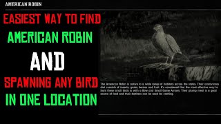 American robin location rdr2  and all bird in one location [upl. by Neelyam]