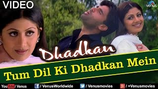 Tum Dil Ki Dhadkan Mein  Duet Dhadkan [upl. by Lleder]