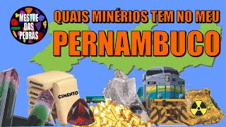 Quais Minérios tem no meu Pernambuco [upl. by Avuha]