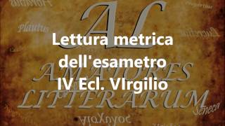 Esametro Lettura metrica IV Buc Virgilio [upl. by Geoff929]