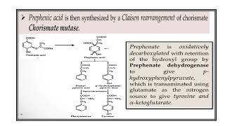 Shikimic Acid Pathway Video No 396 [upl. by Elolcin]