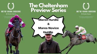 Cheltenham Festival Countdown Series  Mares Hurdle amp Mares Novice Hurdle  Horse Racing Tips [upl. by Harhay]