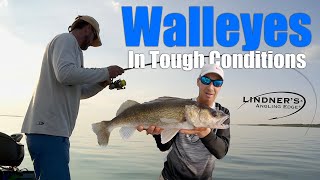 Walleyes In Tough Conditions [upl. by Borroff]