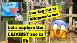 The largest Zoo in Uk Whipsnade zoo [upl. by Luttrell986]