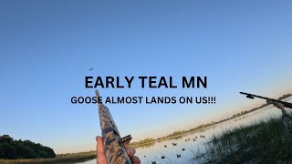 Early Teal MN GOOSE Almost LANDS On US [upl. by Artnoed]