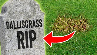 5 Weed Control Strategies for Killing Dallisgrass [upl. by Jessie]