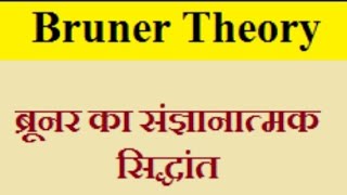 Bruner Theory। ब्रूनर का संज्ञानात्मक सिद्धांत। bed 1st year important topic। importantquestions 📃 [upl. by Romelda153]